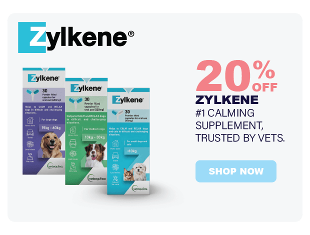 Zylkene - Beruhigungsergänzung für Hunde und Katzen